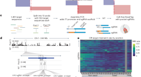 research article to