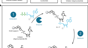 research journal of biotechnology publisher