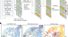 bioinformatics project ideas