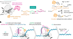 essay on the application of genetic engineering in microbiological practice essay on the application of genetic engineering in microbiological practice