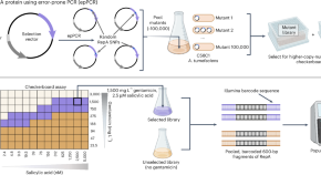 research papers biotechnology