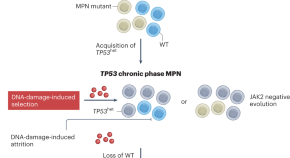 research article on cancer cells