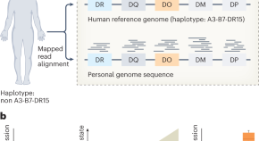 lupus research paper thesis