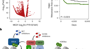 functional genomics research