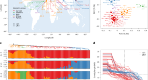 functional genomics research