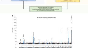 research paper on genome wide association studies