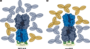 research on peptide synthesis