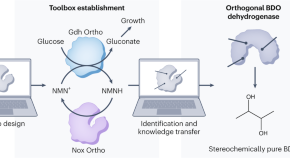 essay about biology and chemistry essay about biology and chemistry