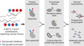 essay about biology and chemistry essay about biology and chemistry