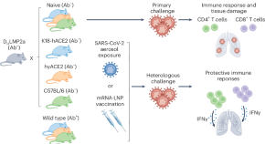 research topics on immunization