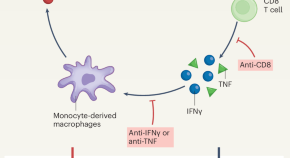 covid 19 disease research paper covid 19 disease research paper