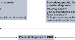 topics for research in ultrasound topics for research in ultrasound