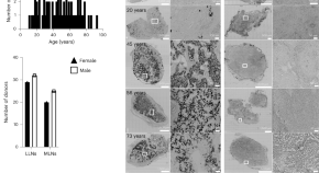 immunology related research paper