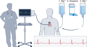 research papers on brain injury research papers on brain injury