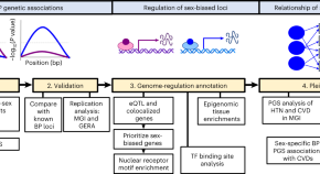 latest research on genetic engineering