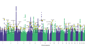 research articles on behavioral genetics