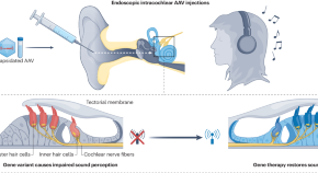 research paper related to medical technology research paper related to medical technology