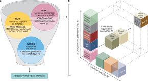 research methods & reporting