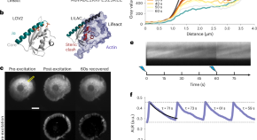 Browse Articles | Nature Methods