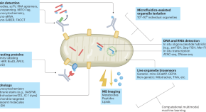 biochemical analysis research paper