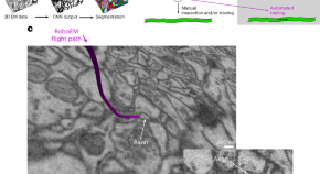 behavioral neuroscience new research