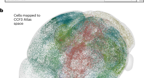 bioinformatics thesis topics