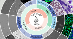 research projects in image processing