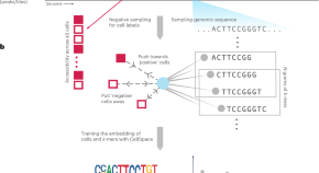 research papers on ml