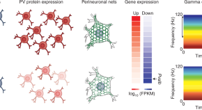 Støv Fordeling stole R3 Reviews Responses Reflections In Neuroscience By Utneuro - Mobile Legends