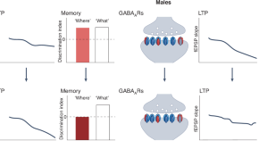 spatial memory research articles