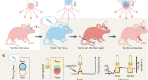 current research on memory in psychology