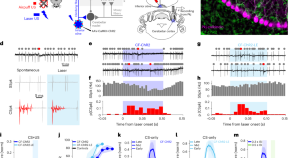 neuroscience research