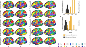 neuroscience research paper ideas