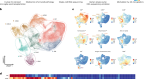 new research dementia alzheimer's