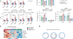 new research dementia alzheimer's