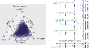 behavioral neuroscience new research