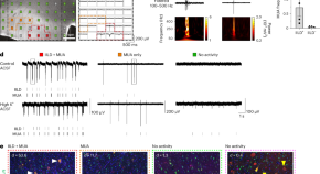 neuroscience research papers pdf