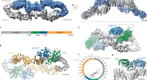 Browse Articles Nature Structural & Molecular Biology