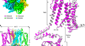 Structural Molecular Biology