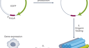 recombinant dna technology presentation topics