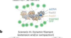 recombinant dna technology presentation topics