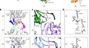 biochemistry research topics for high school