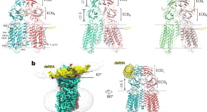 key biology research areas key biology research areas