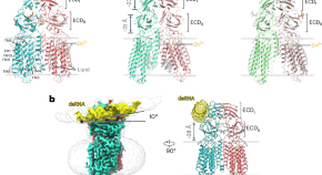 key biology research areas