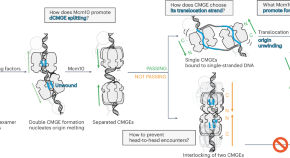 interesting research topics in biotechnology