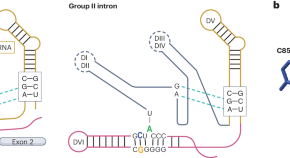 interesting research topics in biotechnology