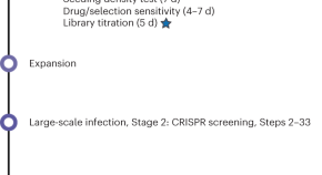 essay about cancer biology