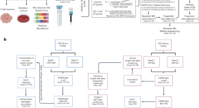 cancer research latest findings