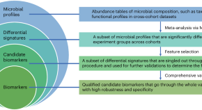 bioinformatics project ideas