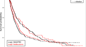 A shell dataset, for shell features extraction and recognition